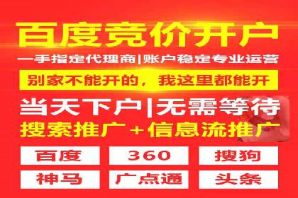 掌握SEM竞价技巧：从案例看效果提升