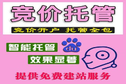 竞价策略揭秘：SEM竞价专员的三大成功案例